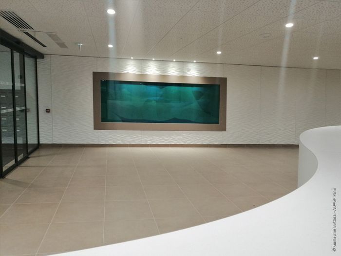 Guillaume Bottazzi nous immerge dans un univers aquatique | Lyon