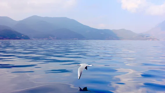 Сяо Локшуй Сун