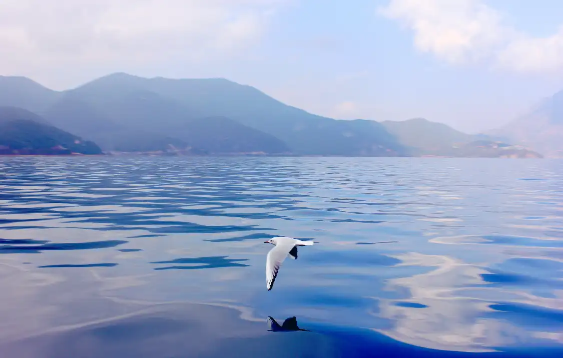 샤오뤄 수로 마을 주변 호텔