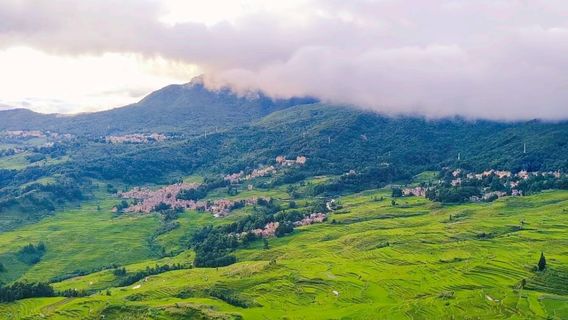 Yuanyang