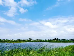 Lac Togo