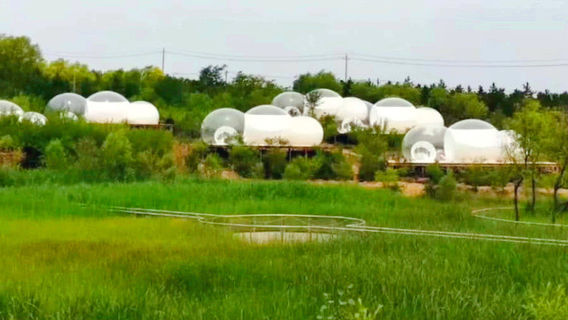 Ordos Botanical Garden