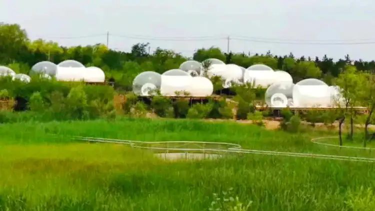 Hotels near Ordos Botanical Garden