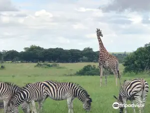 Haka Game Park