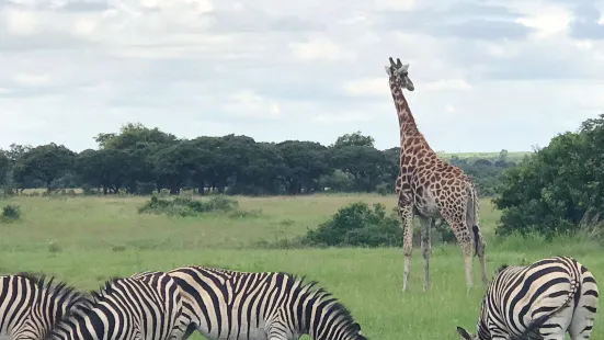 Haka Game Park