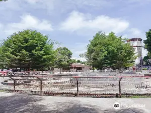 Gaston Park