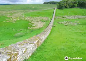 Housesteads Roman Fort-Hadrian's Wall
