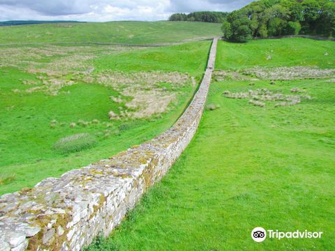 Housesteads Roman Fort-Hadrian's Wall