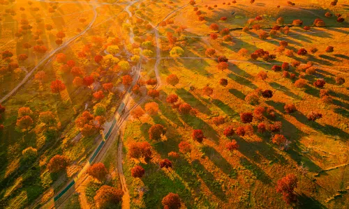 Horqin Grasslands
