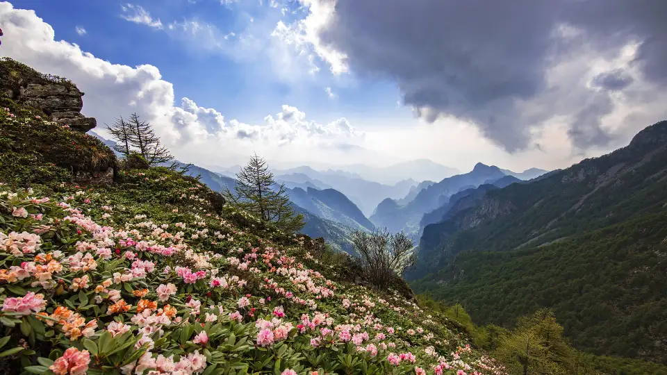 4_The Mount Taibai National Forest Park