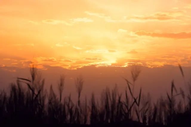 Sunsets in Zhangye