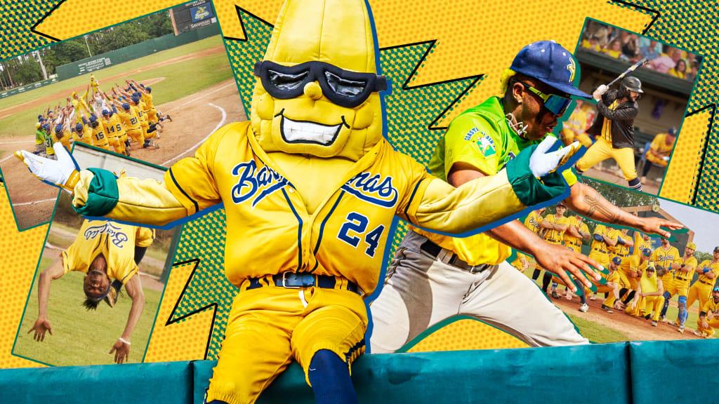 Savannah Bananas 2025 World Tour Guaranteed Rate Field Tickets, Dates & Itineraries