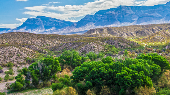 카발로 레이크 주립공원