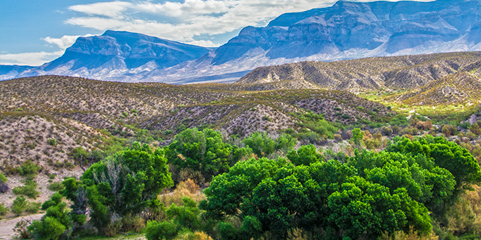 Caballo Lake State Park