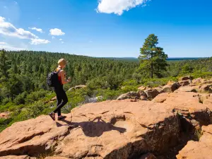 Mogollon Rim Trail