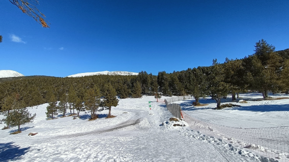 레스 노르딕 스키장