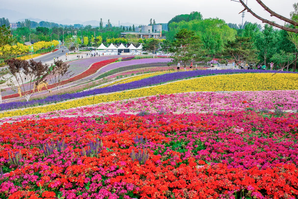 4_北京世園公園