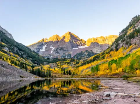 マルーン・ベルズ