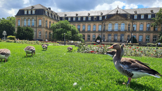 Oberer Schlossgarten
