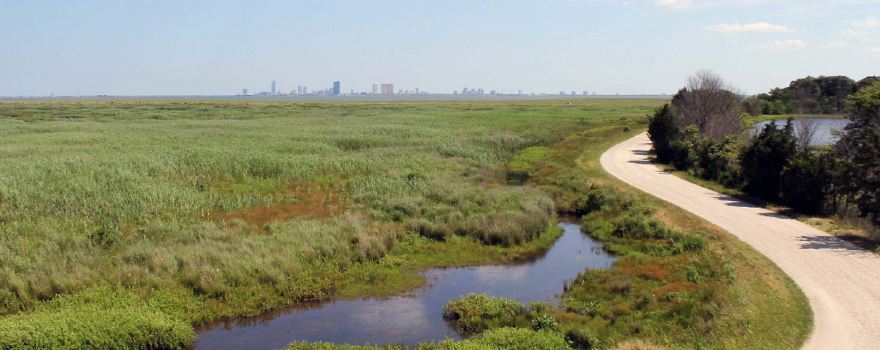 Forsythe Wildlife Refuge Visitor Information Center