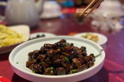 SEE MOUNTAIN LU TALK