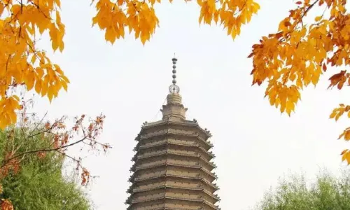 Guta Park