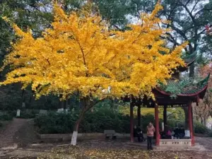 天心閣