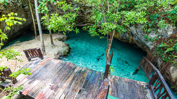 Gran Cenote