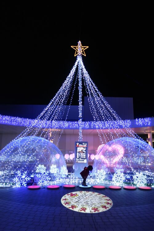 Ibaraki Illumination Festival | Ibaraki