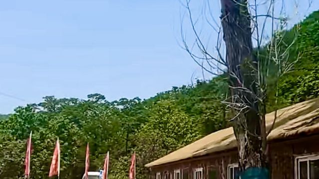 jin fei you ni lu ying di