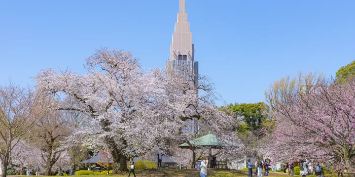 新宿御苑 image 0