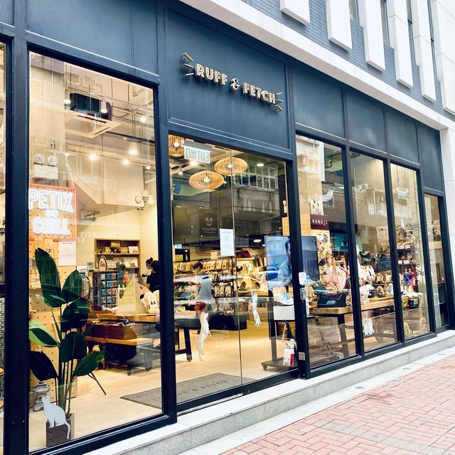 #寵物友善餐廳# 好特別的三層餐廳，家裏啤啤認識好多新朋友！