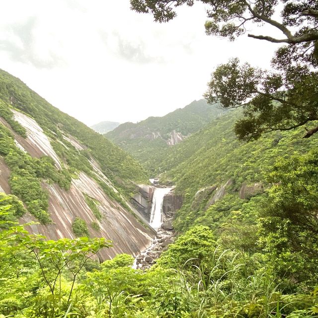 【屋久島】千尋の滝