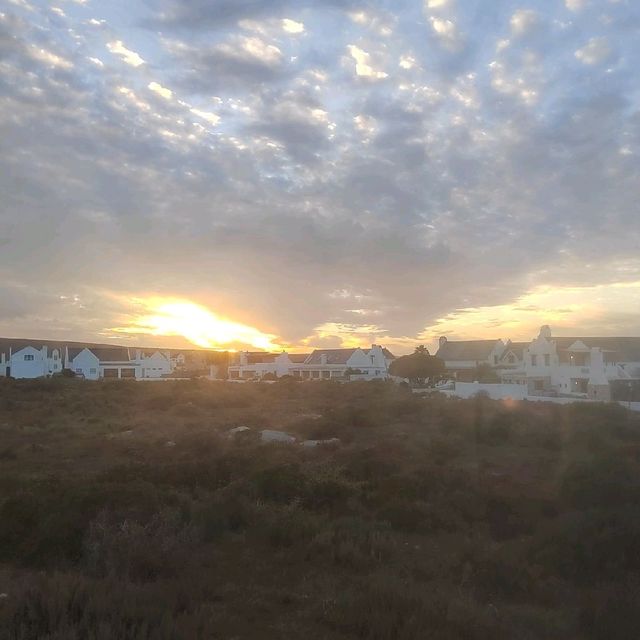 The Magic of Western Cape and SA unspoil