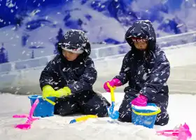Four-Season Snow Park