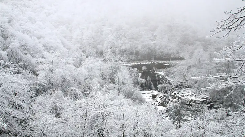 5_小草壩生態旅遊區