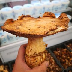 聚福源犛牛肉湯鍋 （總店）張用戶圖片