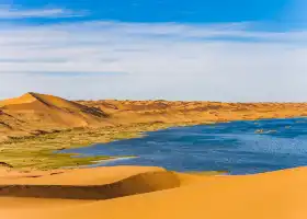 騰格裡沙漠天鵝湖