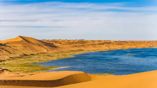 Tengger Desert Swan Lake