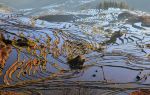 Laohuzui Terraced Field Scenic Area