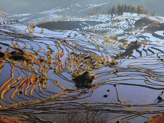 Laohuzui Terraced Field Scenic Area