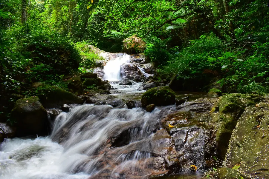 Mt. Yanzhi Forest Park