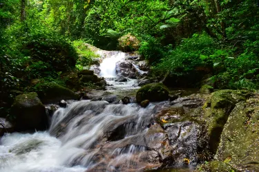 Tianxingqiao Scenic Area