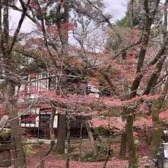 CLUB METRO User Photo