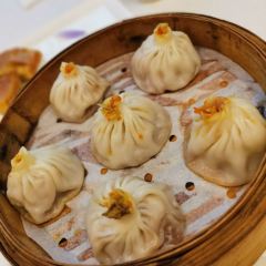 Song helou User Photo