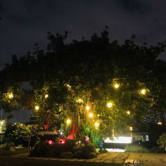 GuanXiangLou User Photo