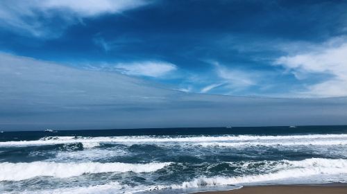 Manly Beach