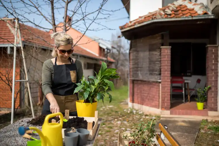 Hotels in Thiruvarur