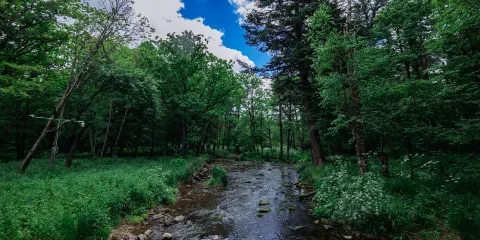 火爐山森林公園