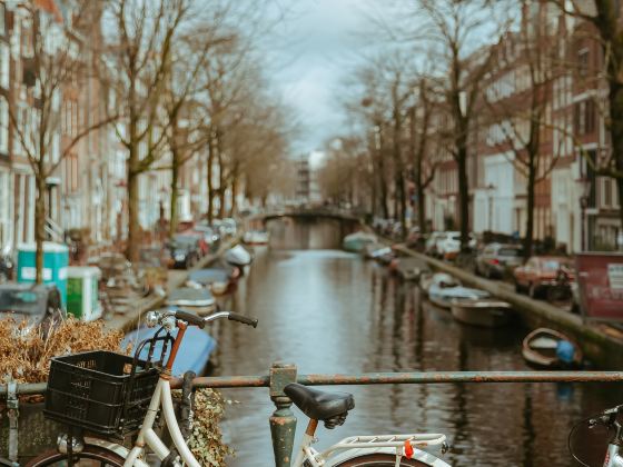 Canals of Amsterdam